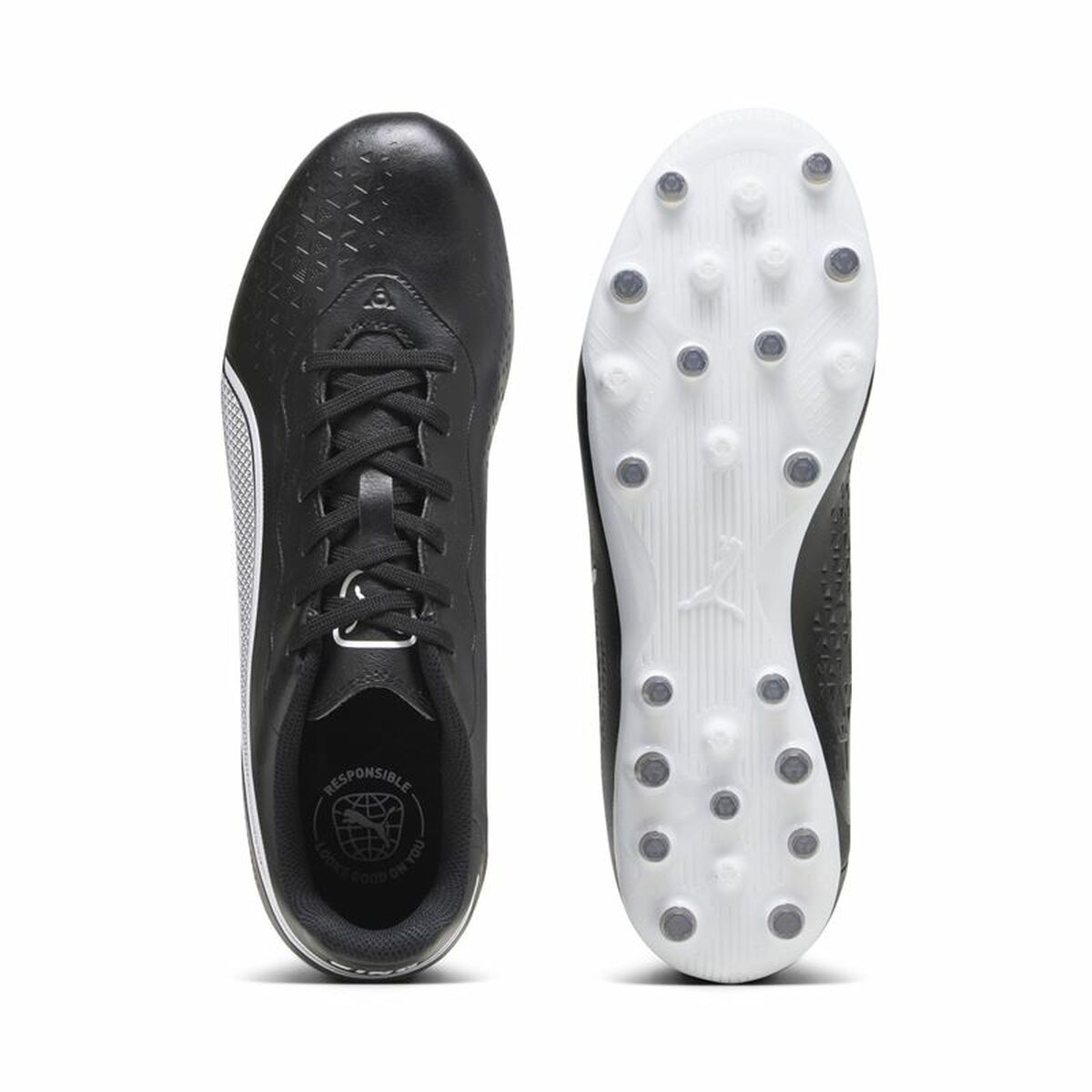 V5H10E53495B1A4D105FAA30164001A8850R4573569P3